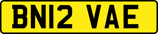 BN12VAE