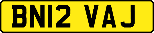 BN12VAJ