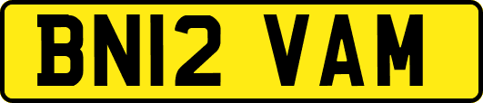 BN12VAM