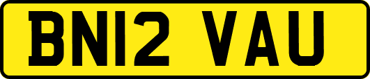BN12VAU