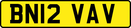 BN12VAV