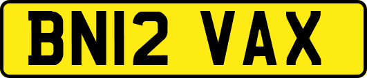 BN12VAX