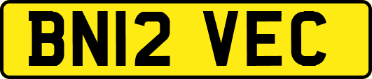 BN12VEC