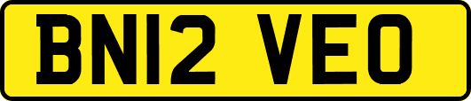 BN12VEO