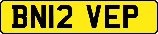 BN12VEP