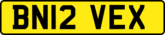 BN12VEX