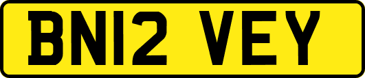 BN12VEY