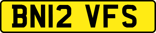 BN12VFS