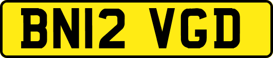 BN12VGD