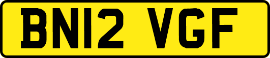 BN12VGF
