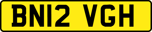 BN12VGH