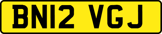 BN12VGJ