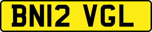 BN12VGL