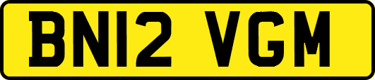 BN12VGM