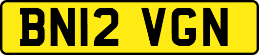 BN12VGN