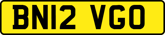BN12VGO