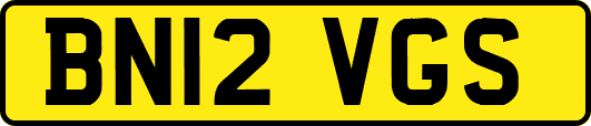 BN12VGS
