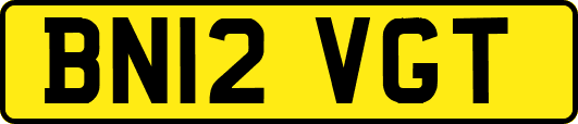 BN12VGT