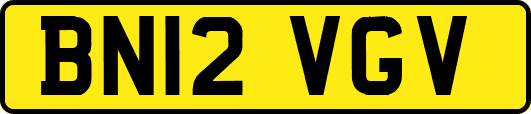 BN12VGV