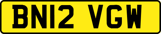BN12VGW