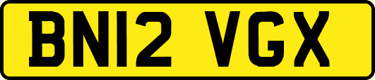 BN12VGX
