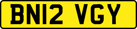 BN12VGY