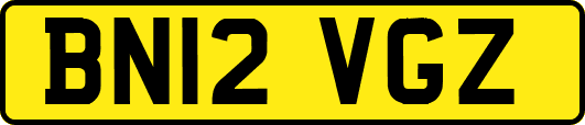 BN12VGZ
