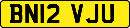 BN12VJU