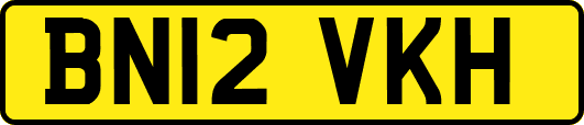 BN12VKH