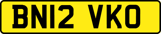 BN12VKO
