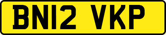 BN12VKP