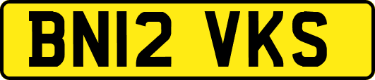 BN12VKS