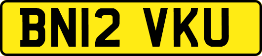 BN12VKU