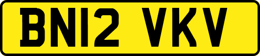 BN12VKV