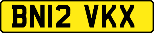 BN12VKX
