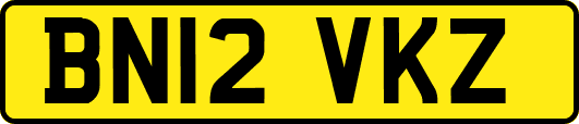 BN12VKZ