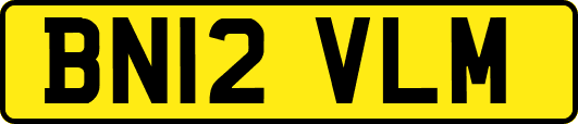 BN12VLM