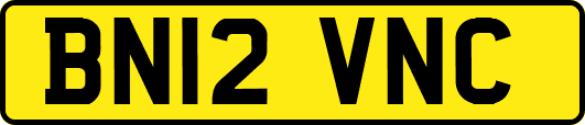 BN12VNC