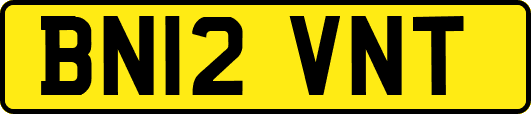 BN12VNT