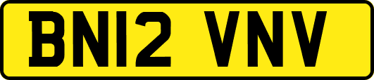 BN12VNV
