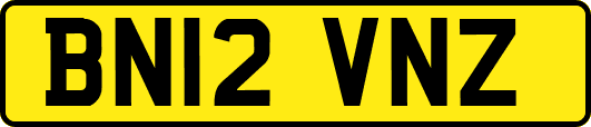 BN12VNZ