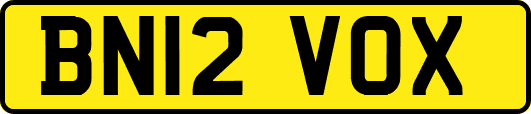 BN12VOX