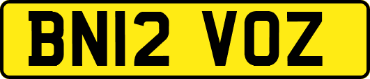 BN12VOZ