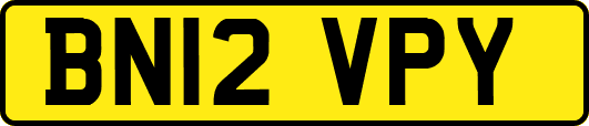 BN12VPY