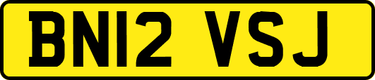 BN12VSJ
