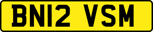 BN12VSM