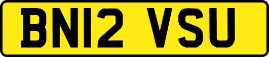 BN12VSU