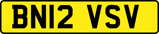 BN12VSV