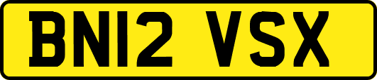 BN12VSX