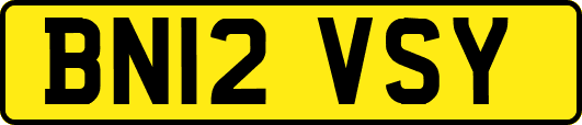 BN12VSY